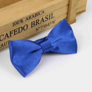 Boys Royal Blue Satin Bow Tie with Adjustable Strap